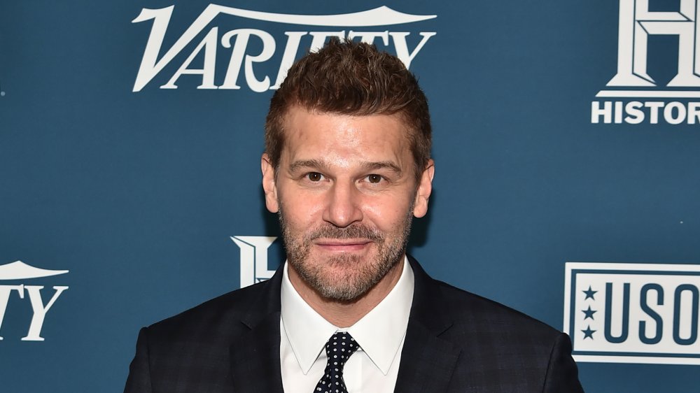 David Boreanaz in 2019