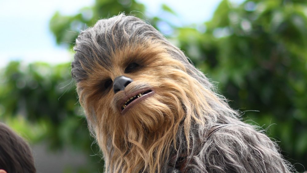 Chewbacca S Entire Backstory Explained