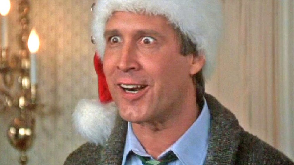 Dumb things in National Lampoon's Christmas Vacation