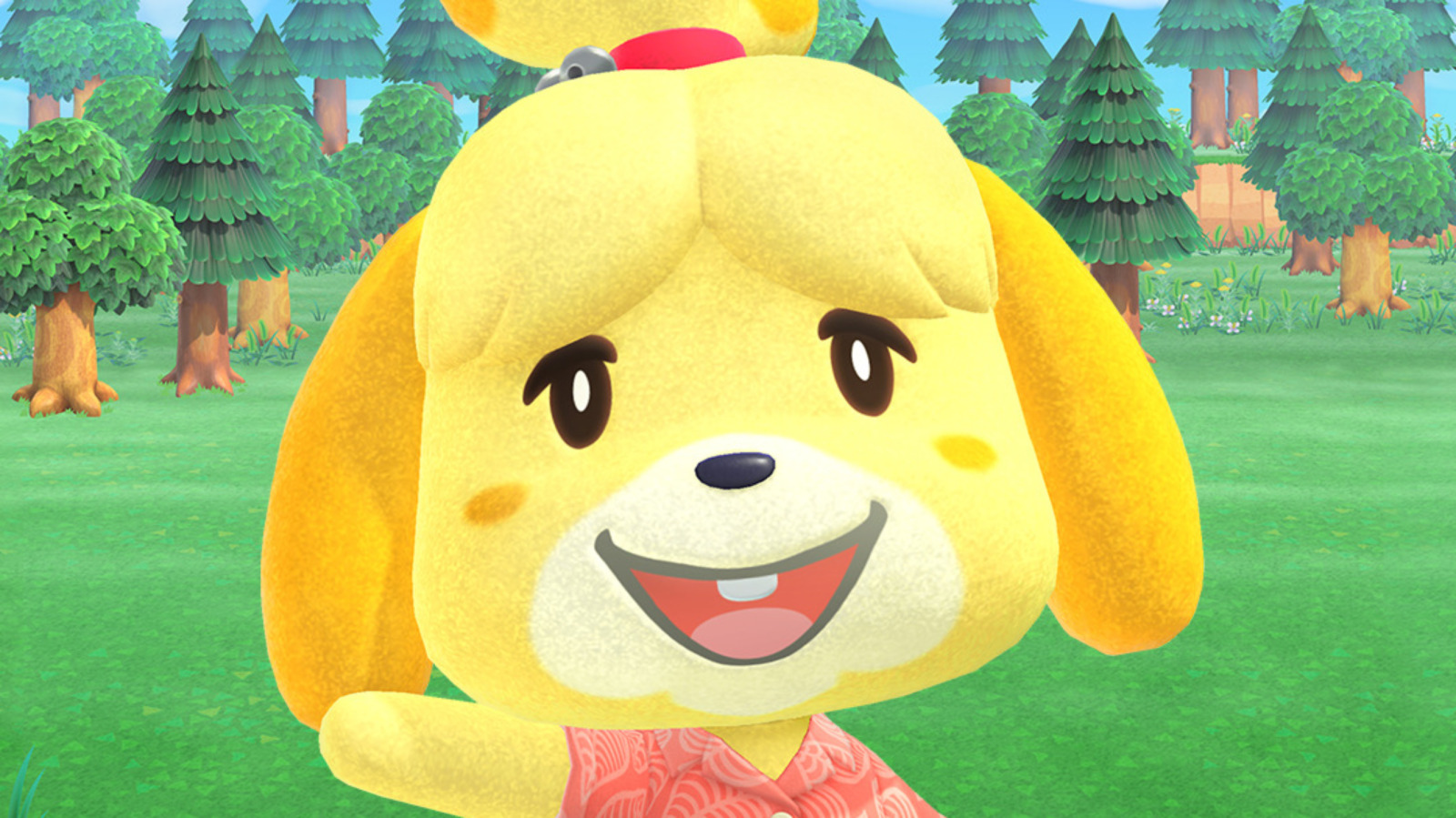 Animal Crossing New Horizons Amazon