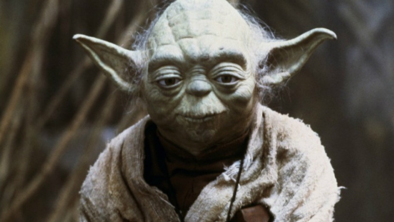 Where Is The Rest Of Yoda's Species?