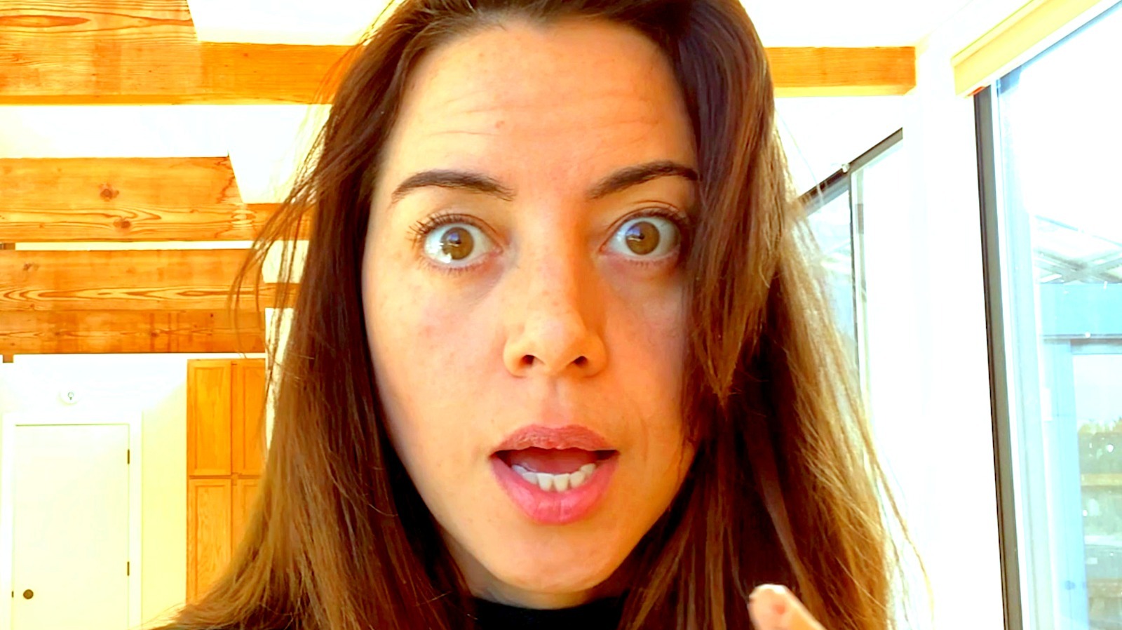 The Transformation Of Aubrey Plaza From Childhood To Parks And Recreation - Vimarsana News