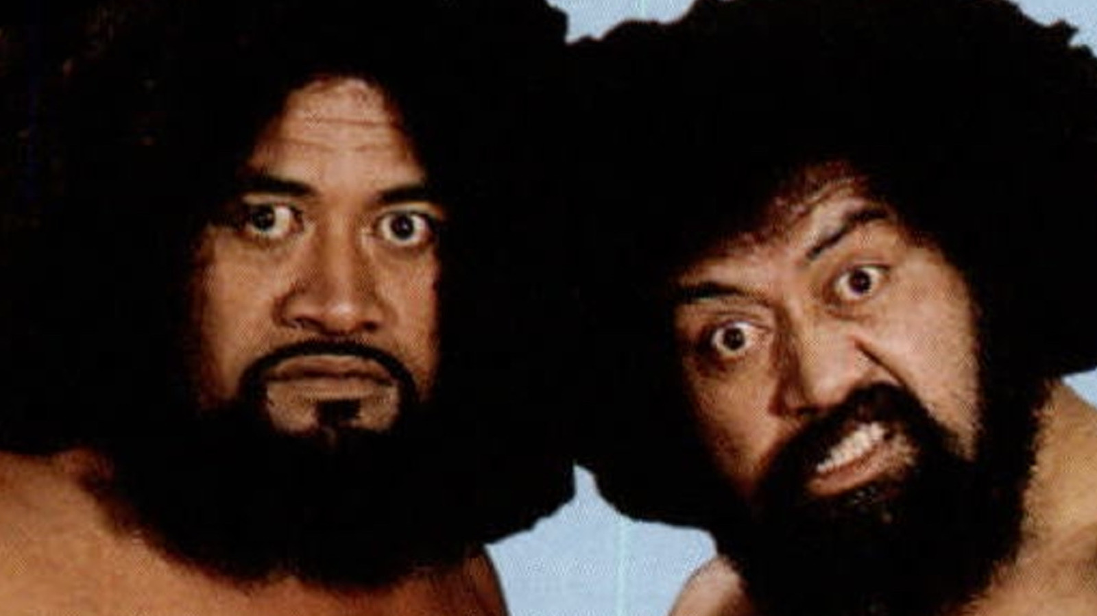 The Untold Truth Of The Wild Samoans - Vimarsana News