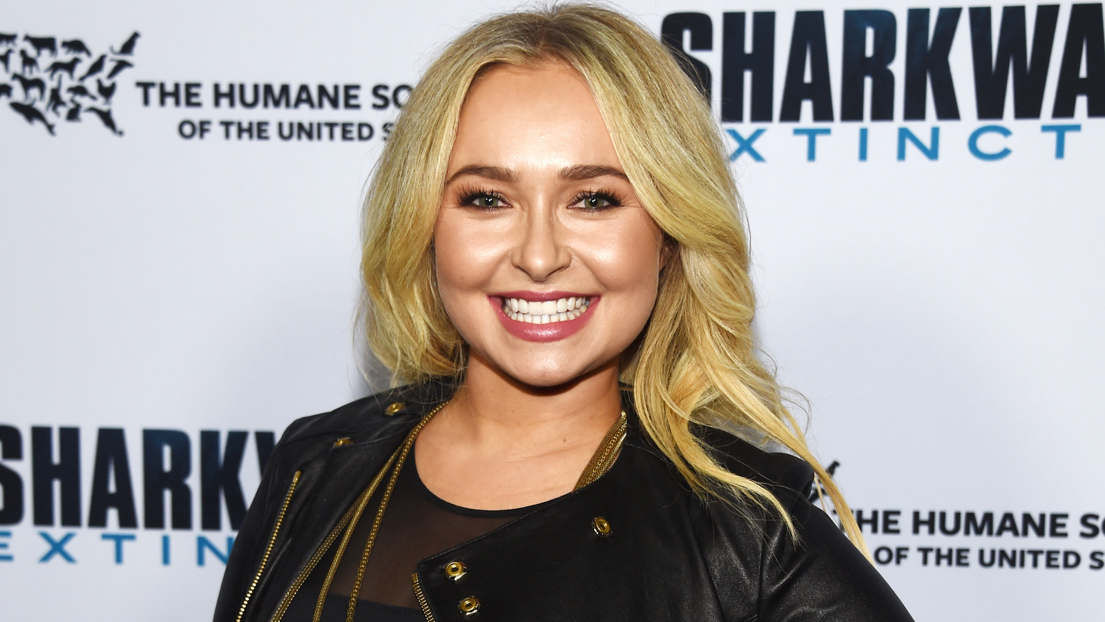 Why You Rarely Hear About Hayden Panettiere Anymore