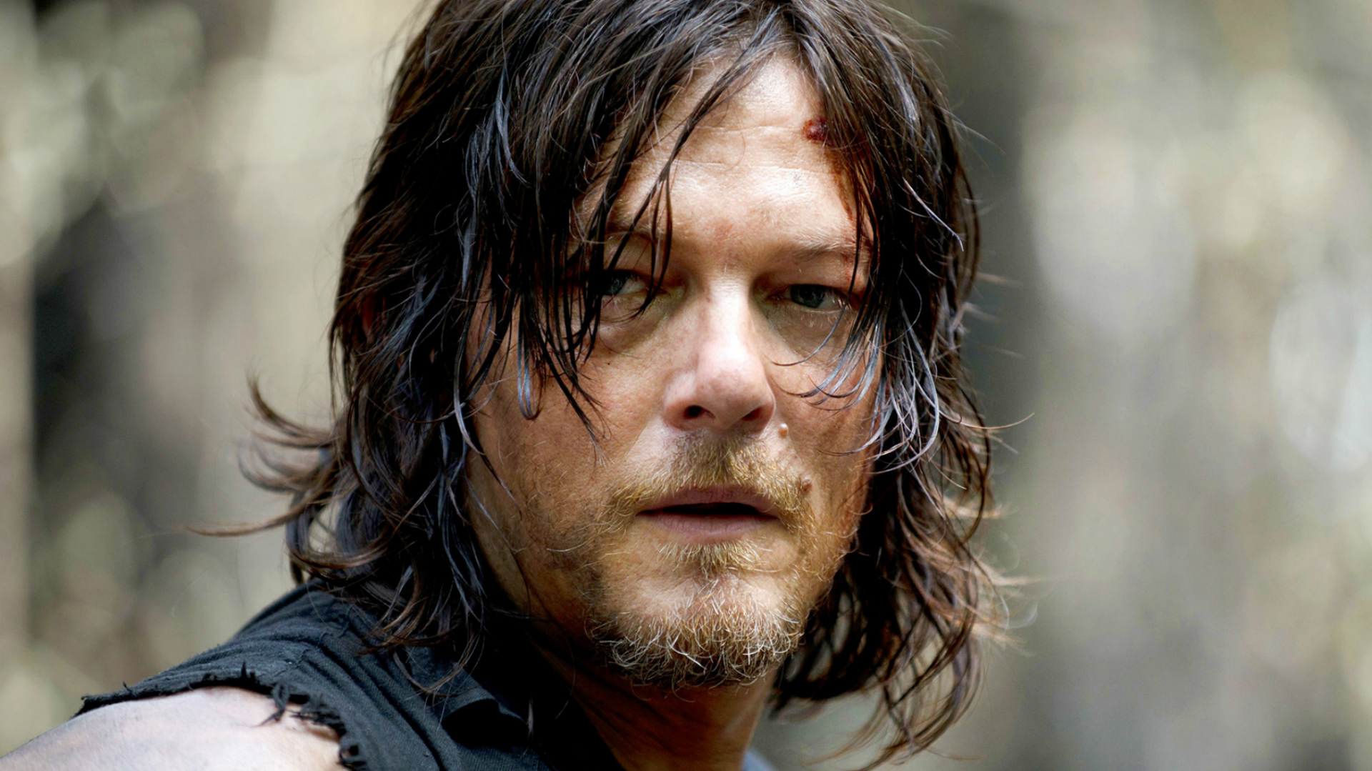 Est Ce Que Daryl Meurt Dans The Walking Dead The Walking Dead season 7 clip hints Daryl Dixon will die